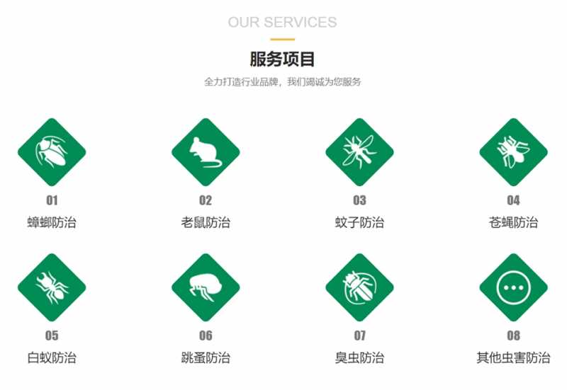 宁波环保标志(宁波机动车环保标志哪里领)插图